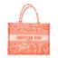 Transparent Canvas Embroidered Medium Dioriviera Toile De Jouy Book Tote