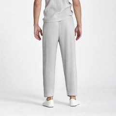 Men's Casual Straight Fit Pleated Pants