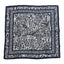 X SHAWN STUSSY Silk Printed Square Scarf Blue White