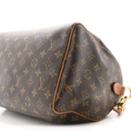 Monogram Speedy Soft 30 Boho