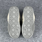 Dior B9S Skater Sneaker ‘Gray Kumo Cannage’