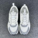 Dior B22 'White Grey'