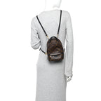 Monogram Palm Springs Backpack Mini