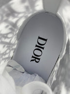 Dior B23 High Oblique - Shawn Bee Embroidery Patch'