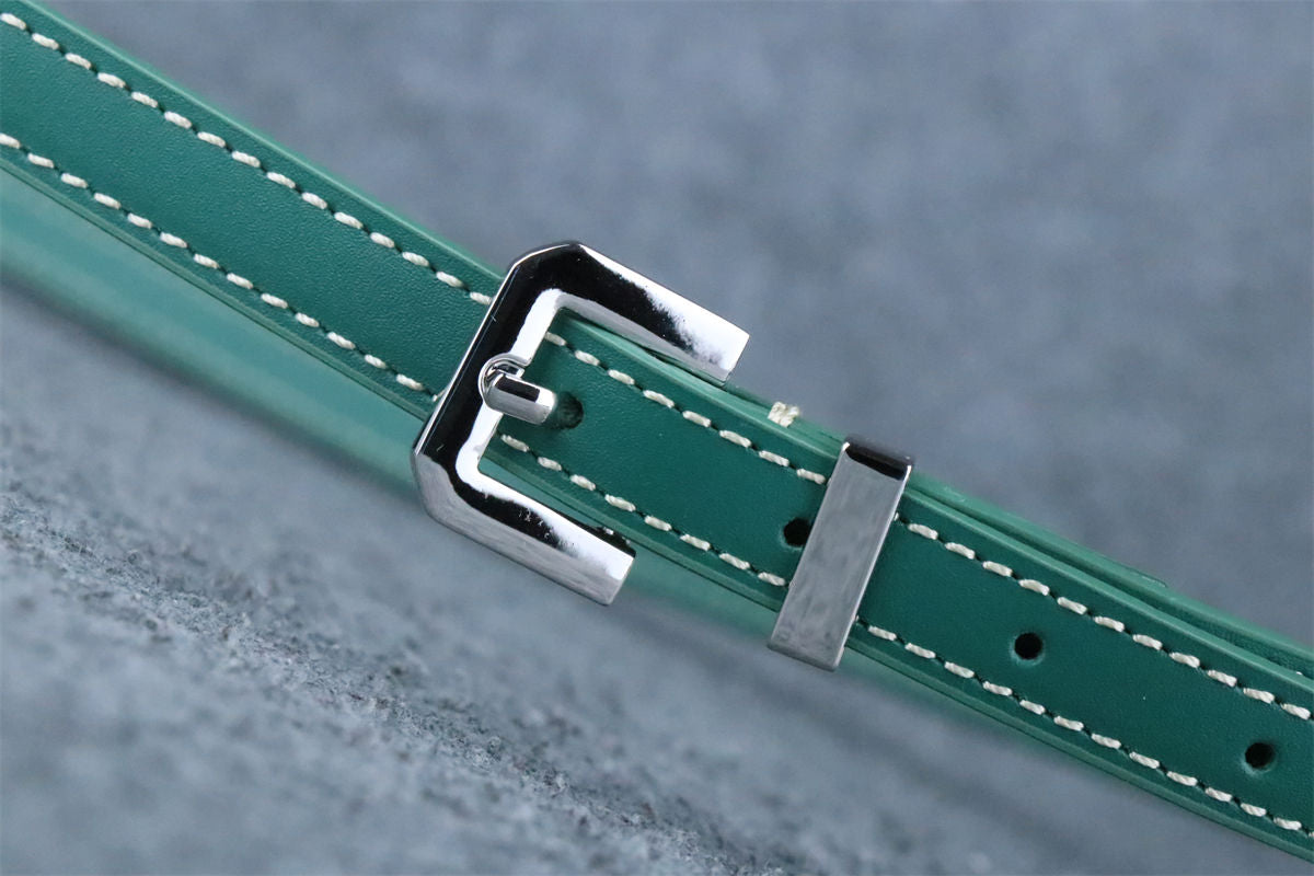 Goyard Belvedere PM 'Green'