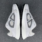 Dior B30 'White Grey'