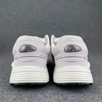 Dior B30 'White Grey'