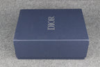 Dior B30 'Reflective CD30 Cream Orange'