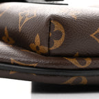 Monogram Macassar Christopher Bumbag