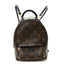 Monogram Palm Springs Backpack Mini