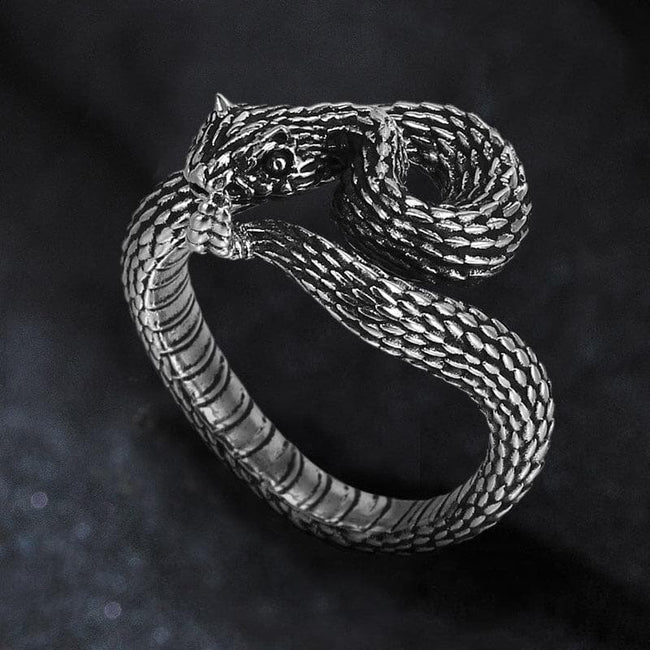 Entwined Snake Stainless Steel Ring Hover Image