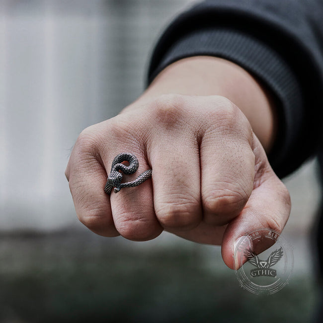 Entwined Snake Stainless Steel Ring Main Image