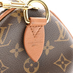 Monogram Speedy Soft 30 Boho