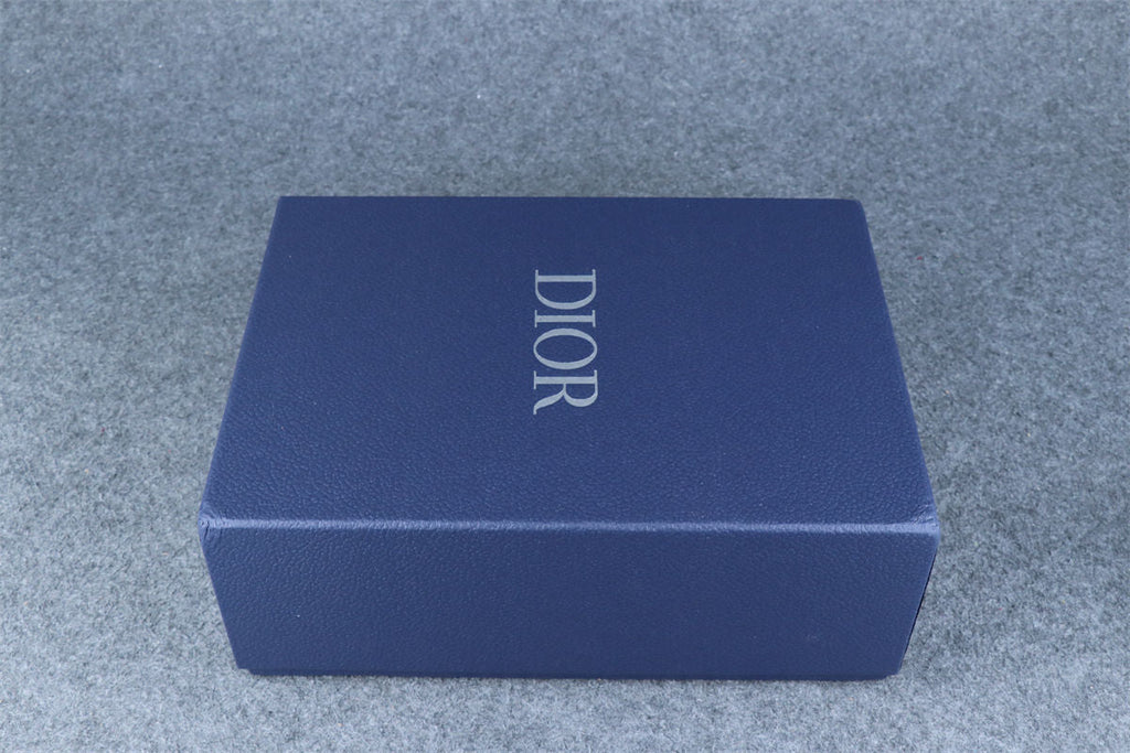 Dior B22 'Light Blue Orange'