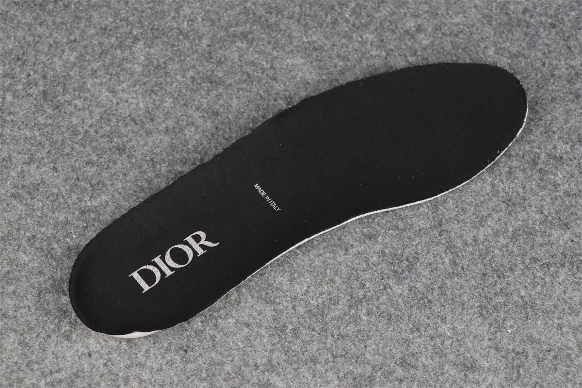 Dior B22 'Blue Silver'