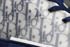 Dior B23 High 'Blue White'